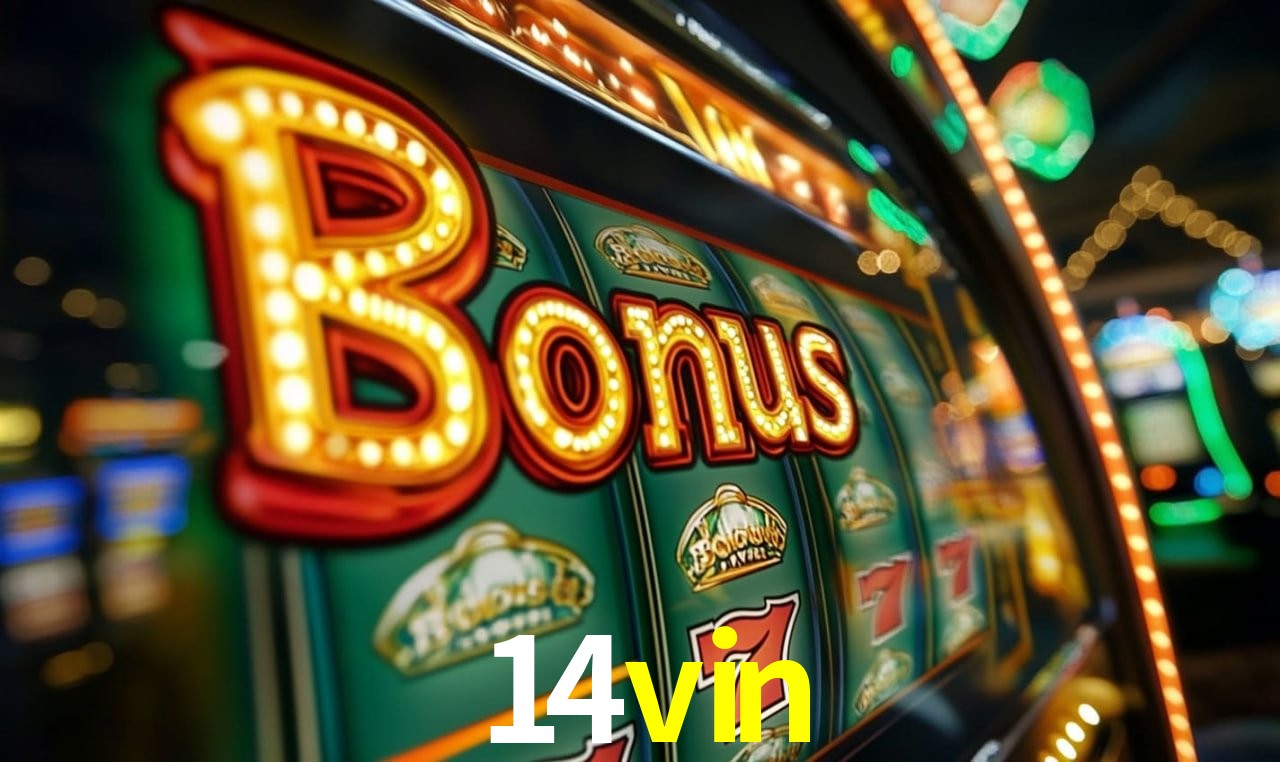 14vin Plataforma Oficial