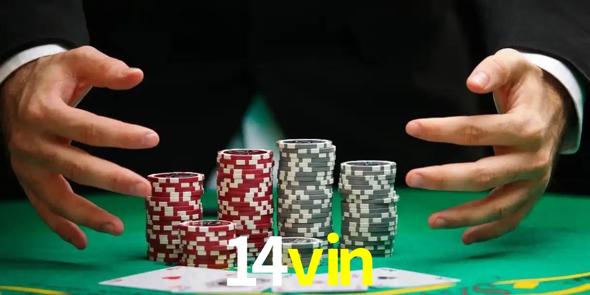 14vin vip