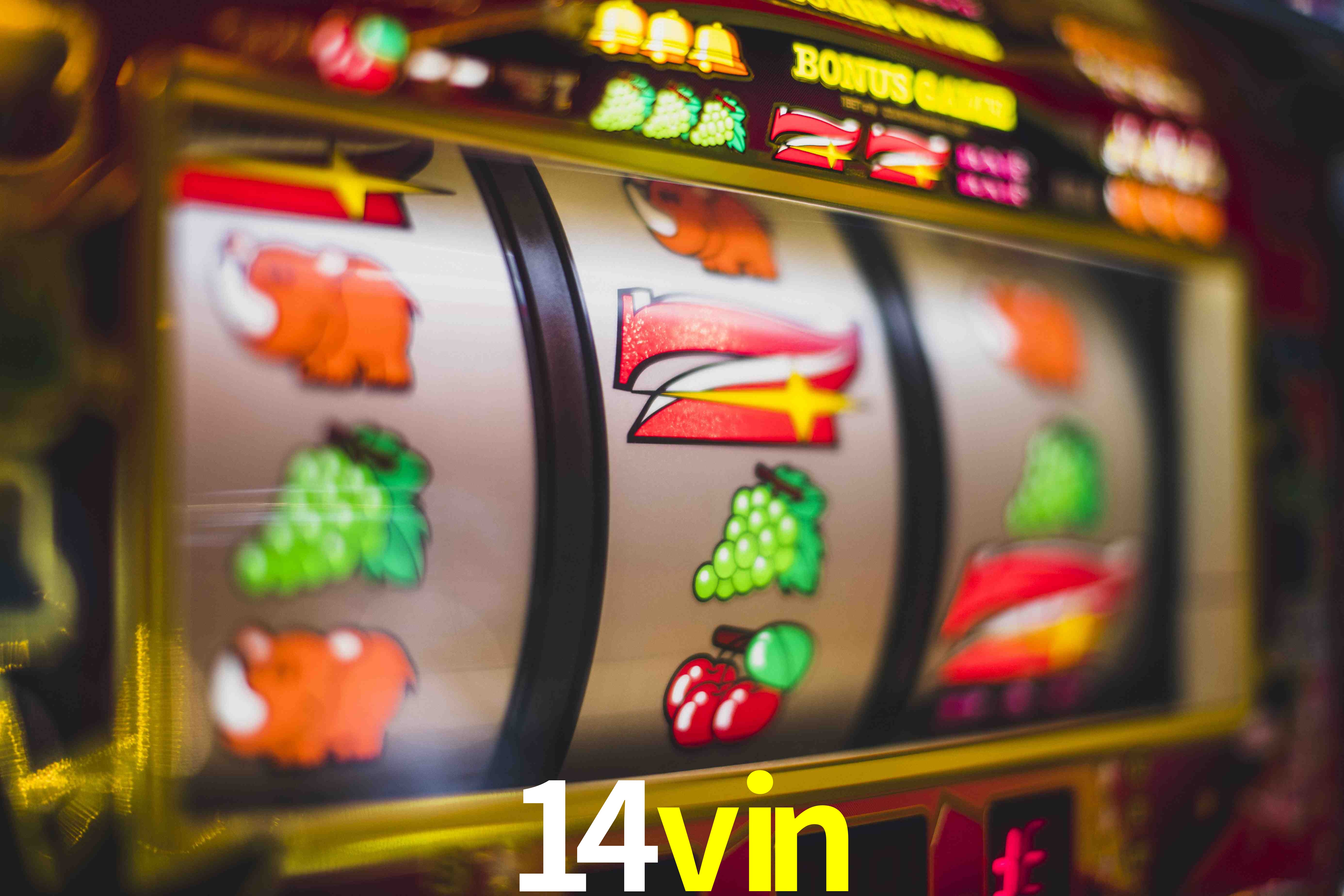 Live Casino 14vin