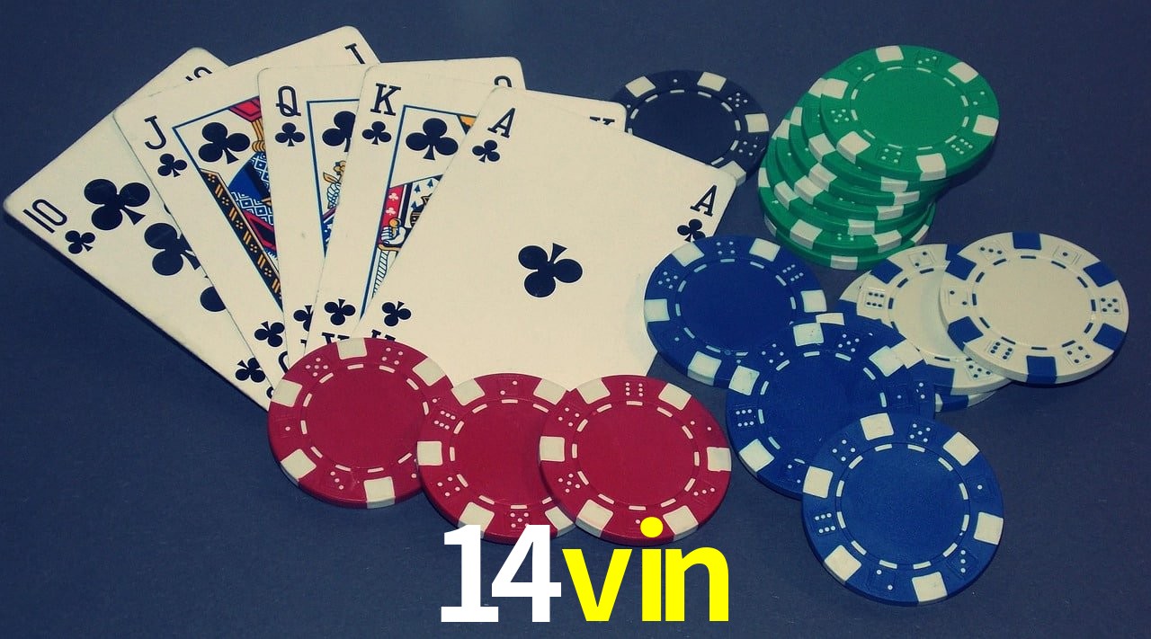 API Integration 14vin